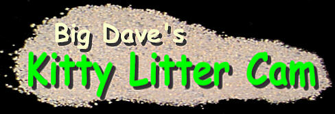 Big Dave's Kitty Litter Cam